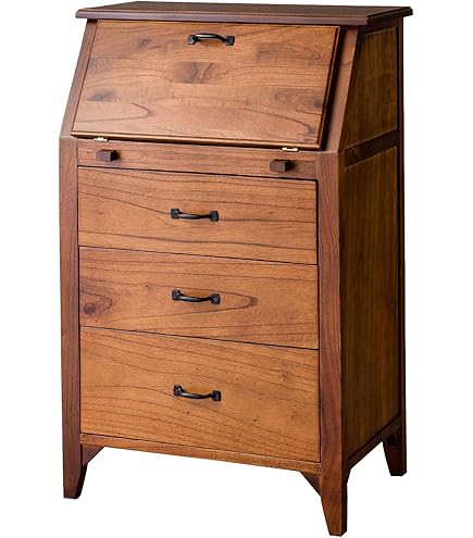 Amazon.co.jp: SEMI-AZ ミニ ライティングビューロー 完成品